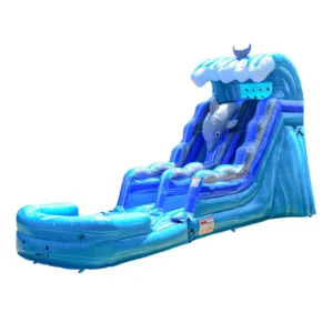 Dolphins 15 FT Commercial Inflatable Water Slide with Detachable Deep Pool – Wet/Dry Slide