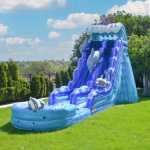 Dolphins 19 FT Commercial Inflatable Water Slide